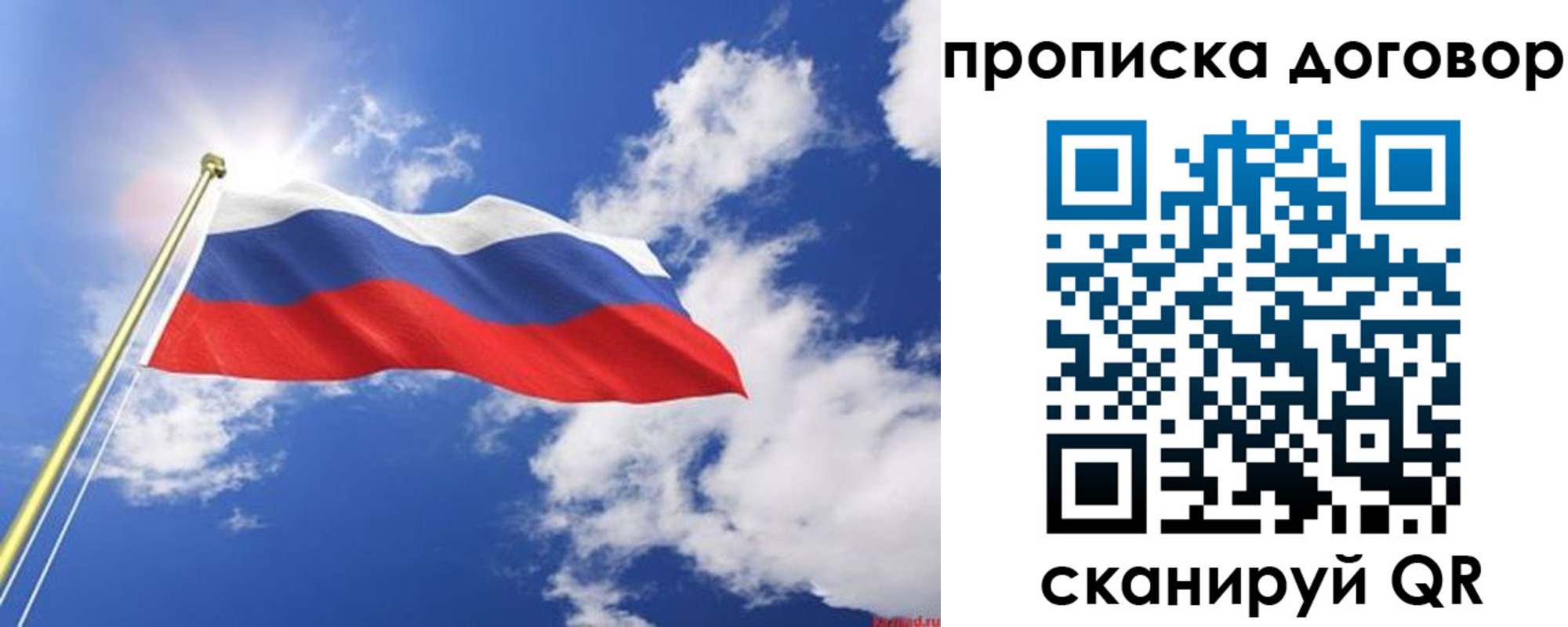 прописка гарантия в Светлом